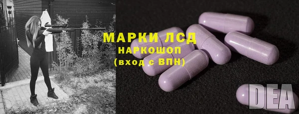 индика Ступино