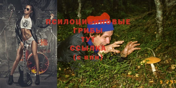 кристаллы Богородск